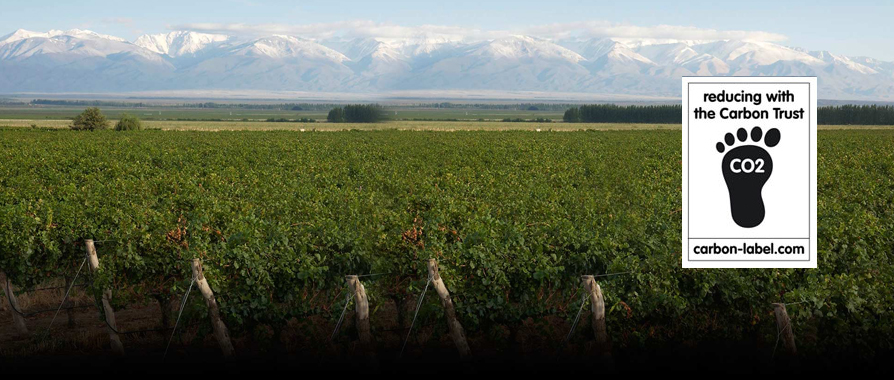 Bodegas Salentein | 1st Argentinian Winery that certifies carbon footprint